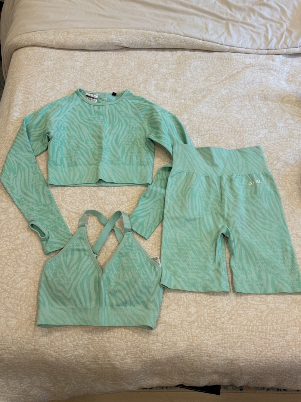 AYBL Evolve Animal Collection Zebra Seamless 3-Piece Set – Mint Green – Small
